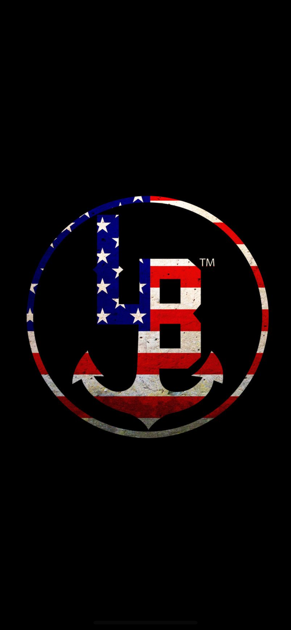 STARS & STRIPES STICKER