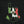 Mexico LB Tee