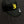Hat LB Gold Logo